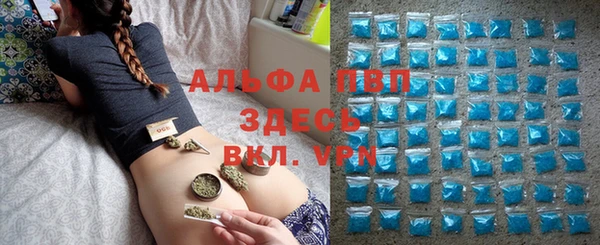 apvp Надым