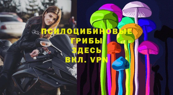 спиды Нея
