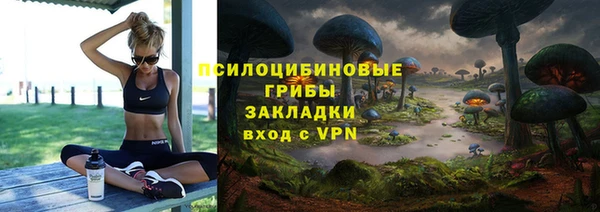 спиды Нея