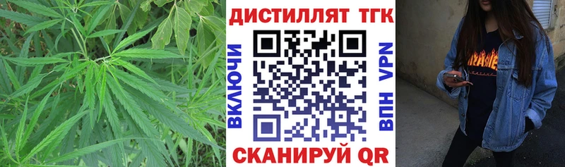 Дистиллят ТГК THC oil  Пионерский 