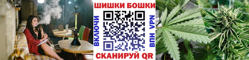 shop Telegram сколько стоит Пионерский Каннабис семена